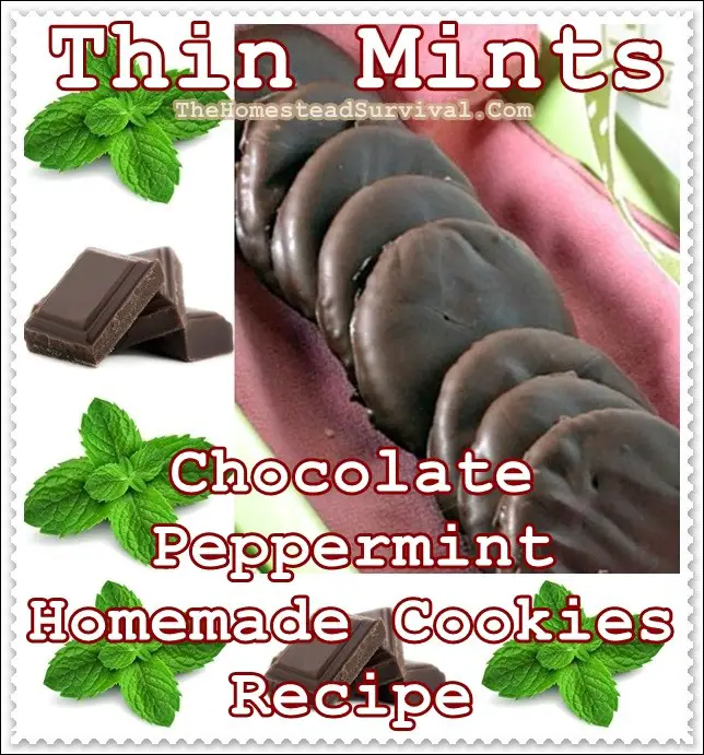 Thin Mints Chocolate Peppermint Homemade Cookies Recipe - The Homestead Survival - Homesteading - Sweets - Cookies