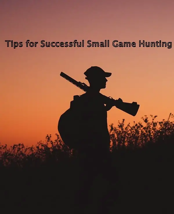 Tips for Successful Small Game Hunting