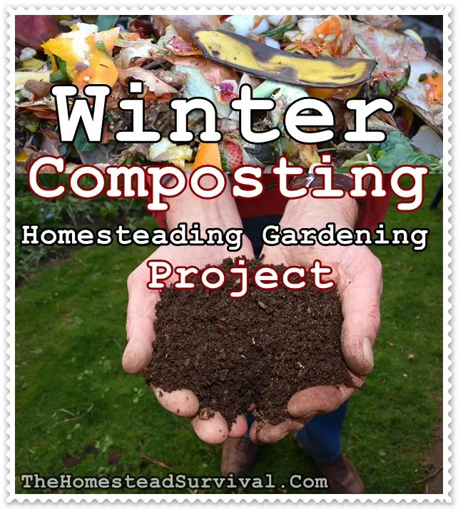 Winter Composting Homesteading Gardening Project - The Homestead Survival -