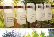 Garden Hanging Containers from Plastic Milk Jugs Frugal Project
