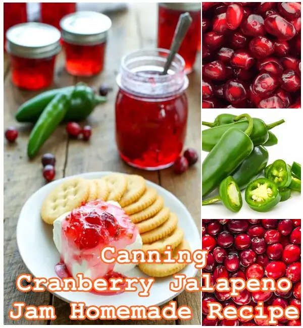 Canning Cranberry Jalapeno Jam Homemade Recipe