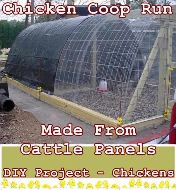 Chicken Coop Run Made From Cattle Panels DIY Project - Chickens
