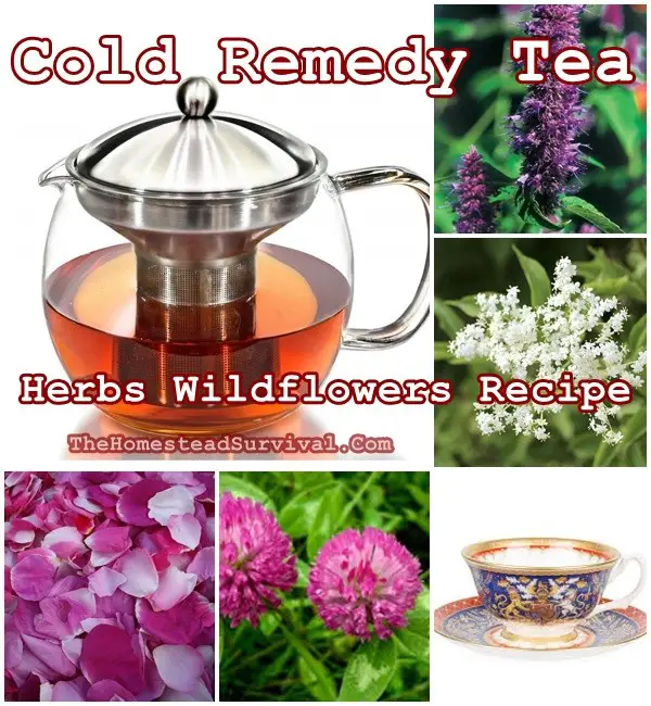Cold Remedy Tea Herbs Wildflowers Recipe