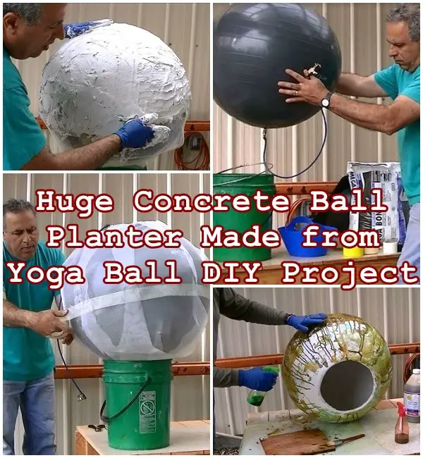 Concrete Ball Garden Planter Made from Yoga Ball DIY Project - The Homestead Survival - Homesteading