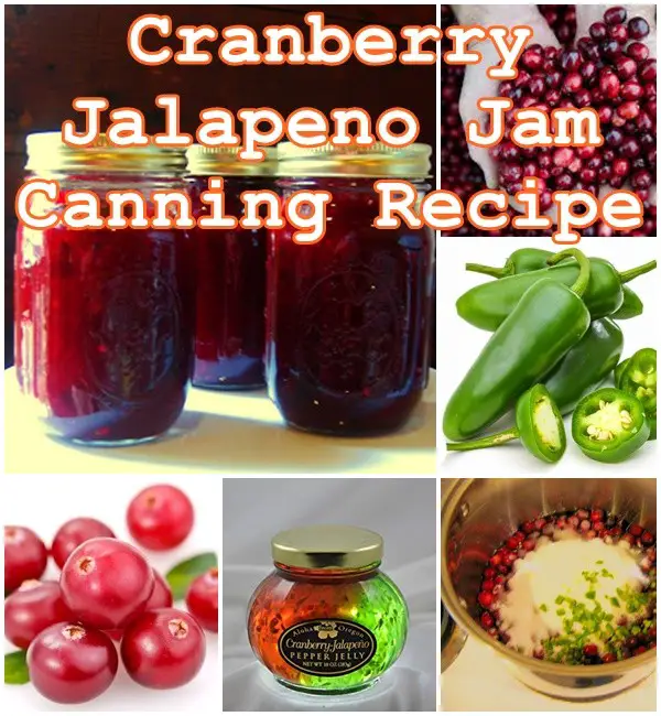 Cranberry Jalapeno Jam Canning Recipe - Food Storage - Homesteading