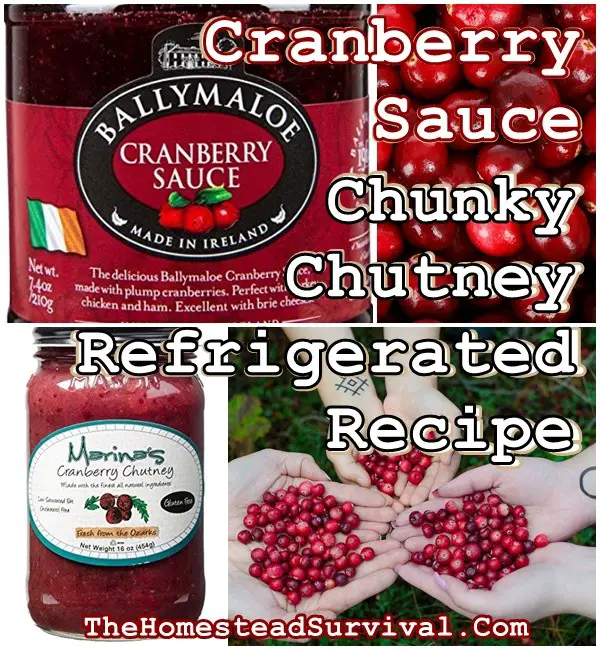 Cranberry Sauce Chunky Chutney Refrigerated Recipe - The Homestead Survival - Delicious - Food Storage - Holiday