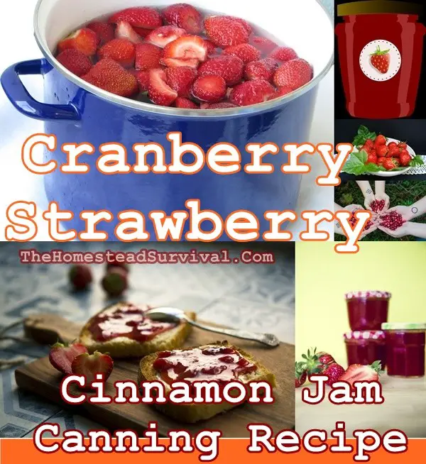 Cranberry Strawberry Cinnamon Jam Canning Recipe - Homesteading - Food Storage - Jams