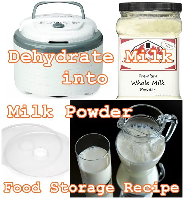 Dehydrate Milk into Milk Powder Food Storage Recipe - Homesteading 