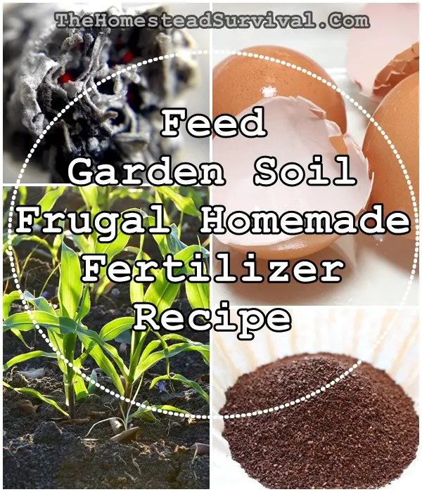 Feed Garden Soil Frugal Homemade Fertilizer Recipe - Homesteading - Gardening - The Homestead Survival