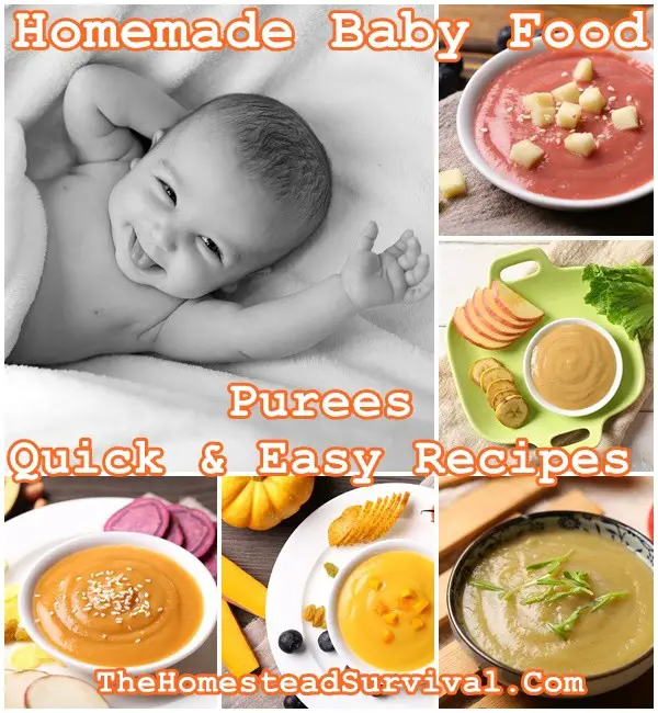  Homemade Baby Food Purees Healthy and Easy Recipes