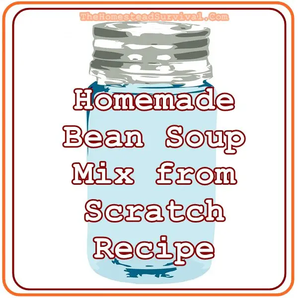 Homemade Bean Soup Mix from Scratch Recipe