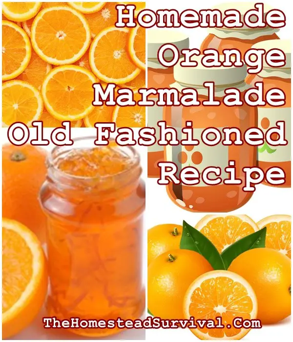 Homemade Orange Marmalade Old Fashioned Recipe - Homesteading - Canning