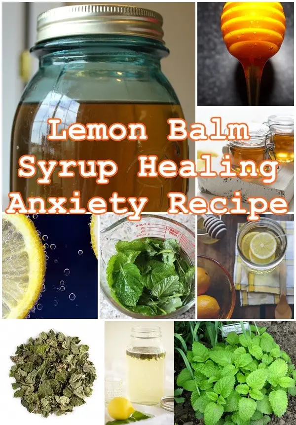 Lemon Balm Syrup Healing Anxiety Recipe - The Homestead Survival - Homesteading - Natural Remedies