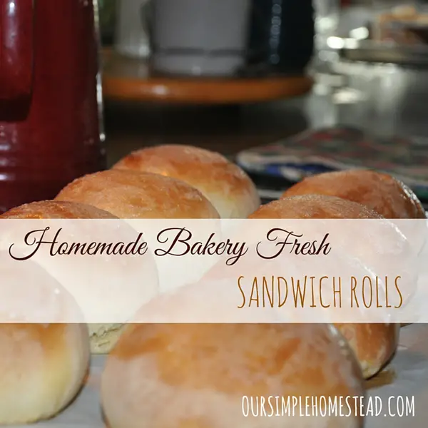 Make Your Own Homemade Sandwich Rolls