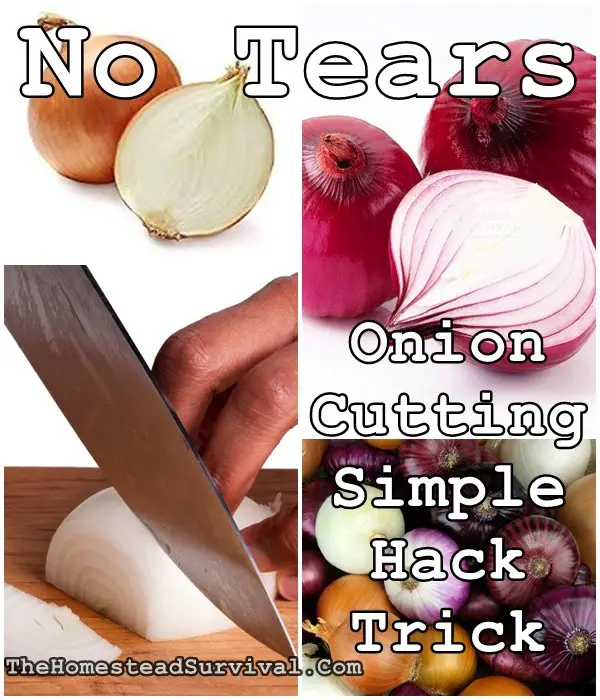 No Tears Onion Cutting Simple Hack Trick - Homesteading