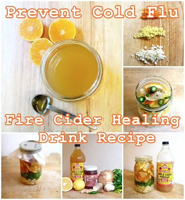 Prevent Cold Flu Fire Cider Healing Drink Recipe - Natural Remedies - Homesteading