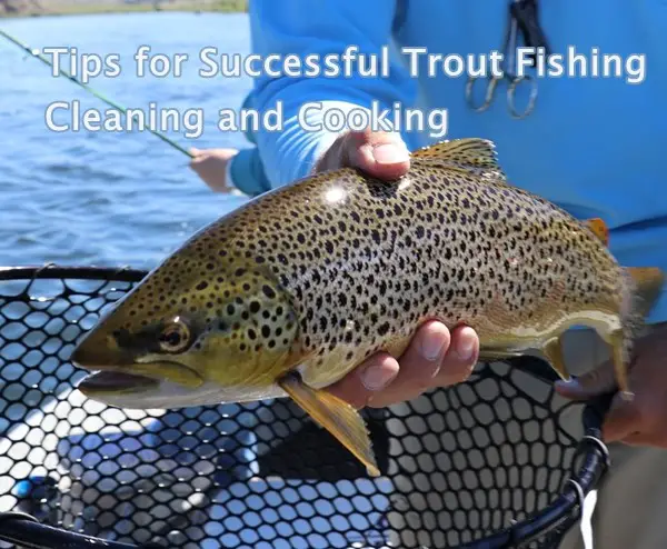 Tips for Successful Trout Fishing Cleaning and Cooking
