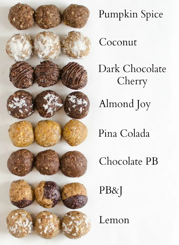 Energy Protein Balls Bite Size Recipe - 9 Flavors - No Bake