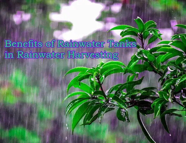 Benefits of Rainwater Tanks in Rainwater Harvesting