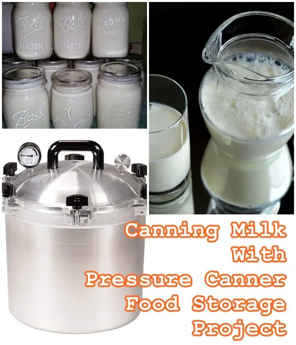 Canning Milk With Pressure Canner Food Storage Project - Homesteading - 