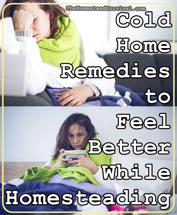 Cold Home Remedies to Feel Better While Homesteading