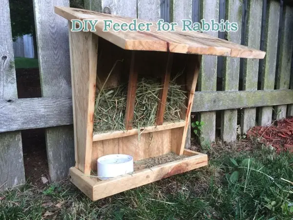 DIY Feeder for Rabbits