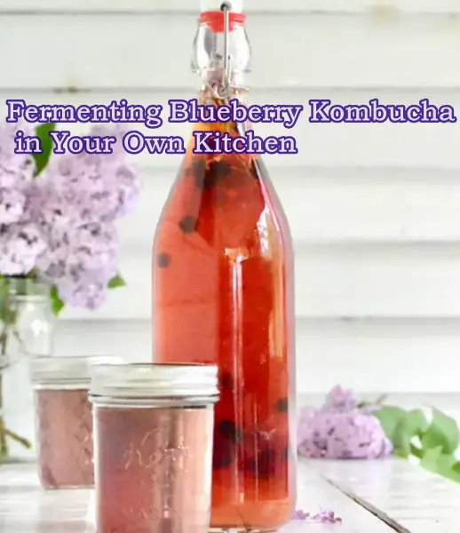 Fermenting Blueberry Kombucha in Your Own Kitchen