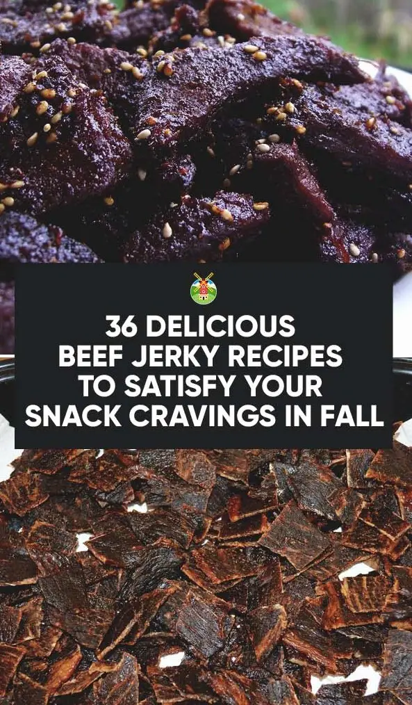 From Spicy to Sweet Round Up of 36 Jerky Recipes