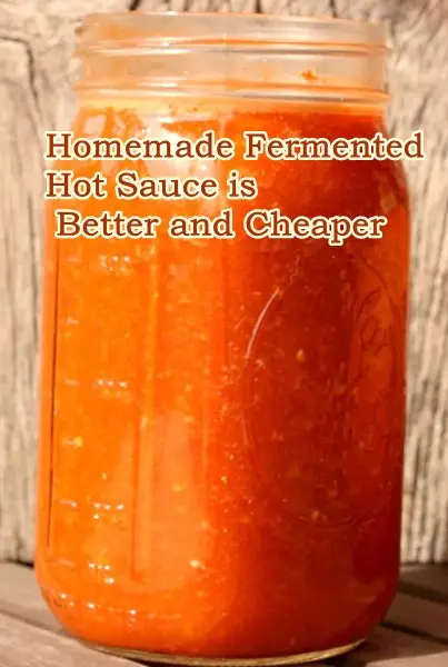 If you love hot sauce you will love making your own homemade fermented hotsauce that is both better and cheaper to make than store bought. I haven't made this recipe yet but I imagine it will be somewhat similar to Tobasco since it is also fermented (for like 3 years but still). You can tell just by the smell or I can anyway. Hot sauce is one of the most commonly used condiments these days and the market is quite crowded with a lot of options available. However, nothing beats the true flavor of the homemade hot sauce. This recipe was designed to introduce the reader to an extremely unique method for making hot sauce called fermenting and the result is a great tasting using only the freshest ingredients. This recipe for homemade fermented hot sauce is from, Healing Harvest Homestead. The author goes into great detail explaining why their unique method for making hot sauce delivers one of the best tasting sauces you will ever taste. All of the information is presented in a way that makes it really easy to read and follow. Benefits of reading the article Homemade Recipes: Homemade Fermented Hot Sauce is Better and Cheaper Discover how easy it is to make this unique hot sauce that can be used with a number of different types of foods. The recipe includes a complete of all of the necessary ingredients, supplies, and kitchen equipment in order to make it. It also includes a complete, easy to read and follow step by step preparation guide that covers everything from start to finish. There are many full-color pictures that help to provide the reader with a good visual reference of the recipe.