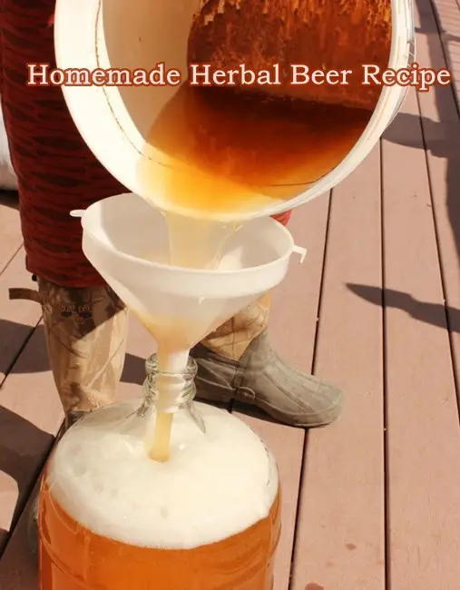 Homemade Herbal Beer Recipe