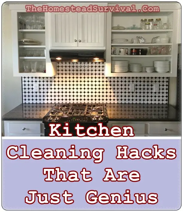 Kitchen Cleaning Hacks That Are Just Genius - The Homestead Survival