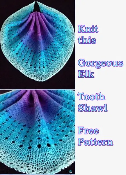 Knit this Gorgeous Elk Tooth Shawl Free Pattern