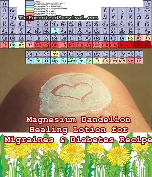 Magnesium Dandelion Healing Lotion for Migraines & Diabetes Recipe - Natural Remedies - The Homestead Survival