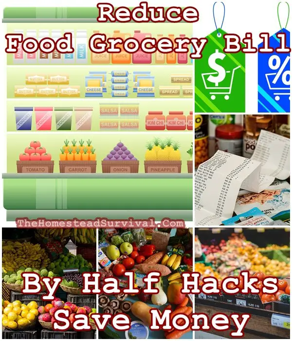 Reduce Food Grocery Bill By Half Hacks - Save Money