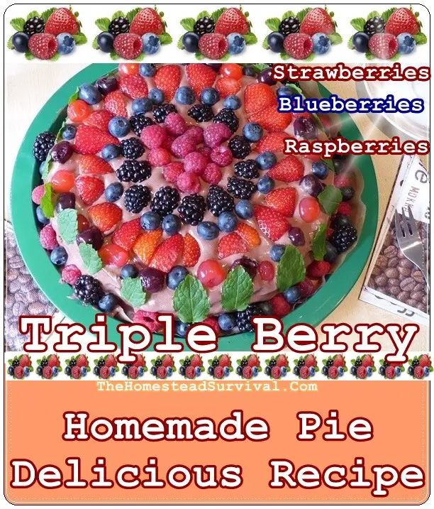 Triple Berry Homemade Pie Delicious Recipe - Blueberries Raspberries Strawberries - The Homestead Survival 