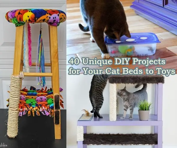 40 Unique DIY Projects for Your Cat Beds to Toys