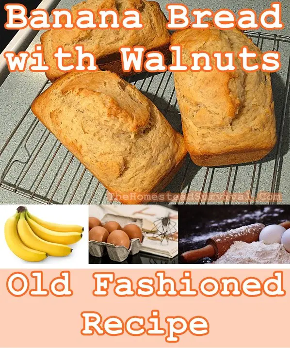 Banana Bread with Walnuts Old Fashioned Homemade Recipe 