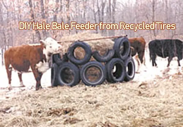 DIY Hale Bale Feeder from Recycled Tires