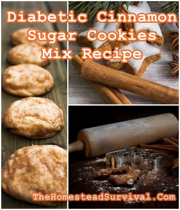 Diabetic Cinnamon Sugar Cookies Mix Recipe