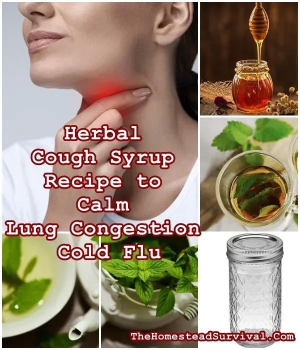 Herbal Cough Syrup Recipe to Calm Lung Congestion | Cold Flu - The Homestead Survival - Natural Healing - Homesteading 