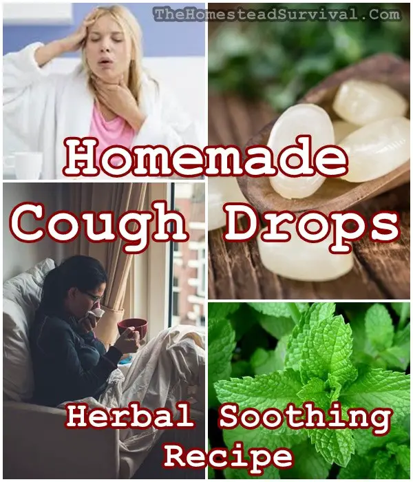 Homemade Cough Drops Herbal Soothing Recipe - Homesteading -
