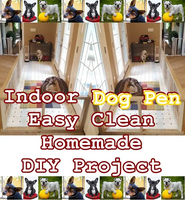 Indoor Dog Pen Easy Clean Homemade DIY Project _ Pets
