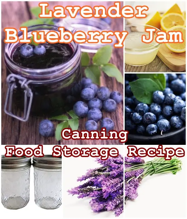 Lavender Blueberry Jam Canning Food Storage Recipe - Blueberries