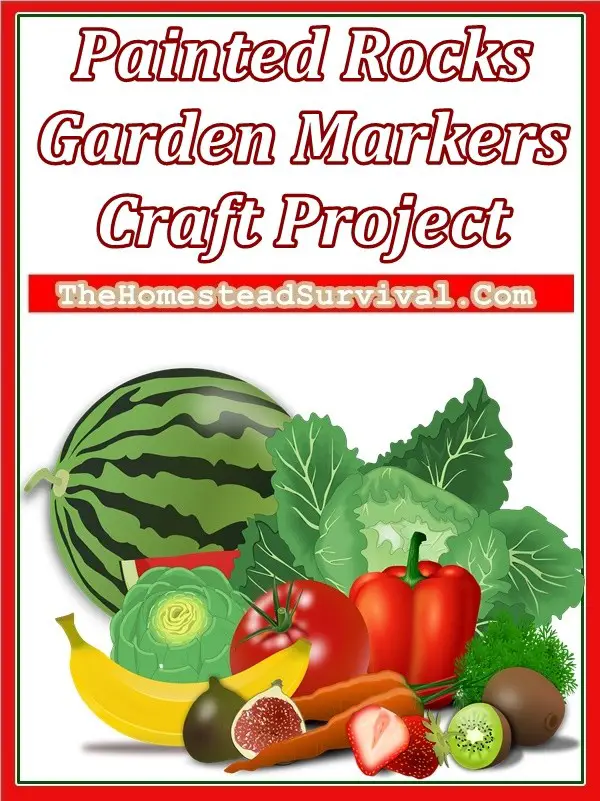 Painted Rocks Garden Markers Craft Project - Gardening Crafts