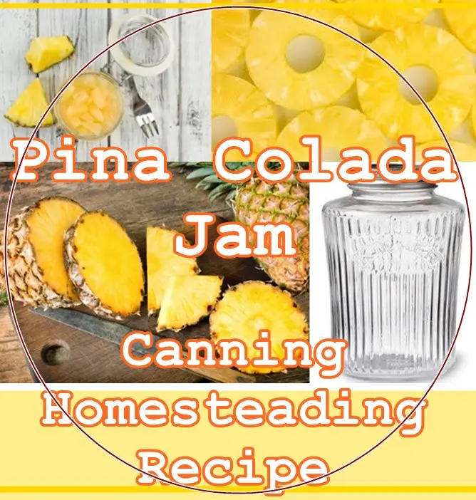 Pina Colada Jam Canning Homesteading Recipe