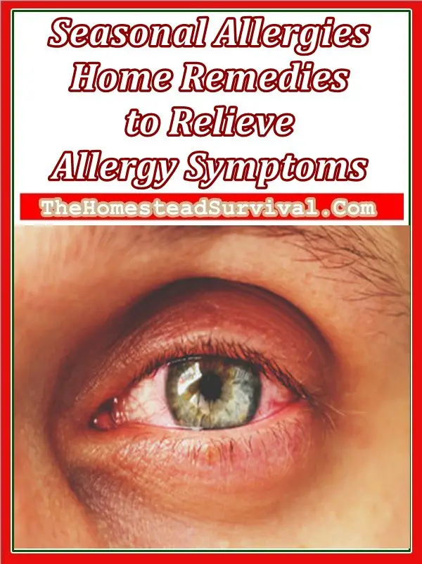 Seasonal Allergies Home Remedies to Relieve Allergy Symptoms - The Homestead Survival - Natural Remedies 