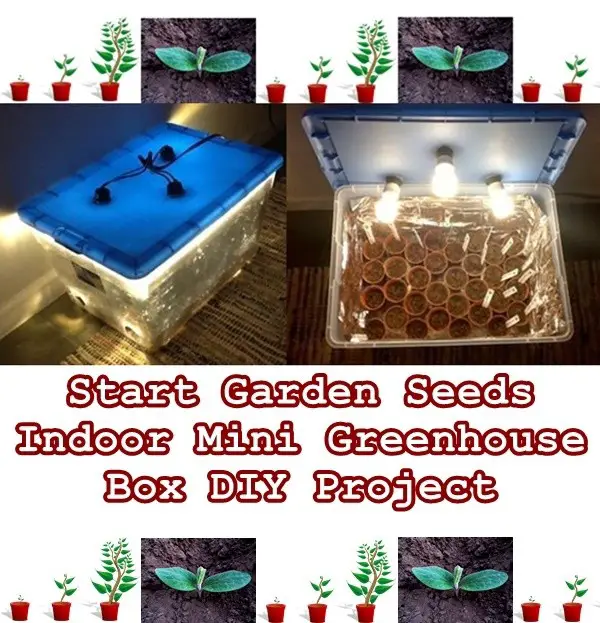 Start Garden Seeds Indoor Mini Greenhouse Box DIY Project - Gardening