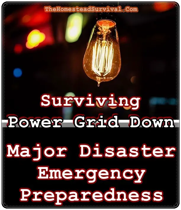 Surviving Power Grid Down Major Disaster | Emergency Preparedness | The Homestead Survival