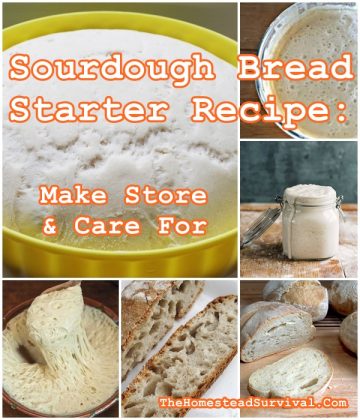 Sourdough Bread Starter Recipe: Make Store & Care For (Baking) - The ...