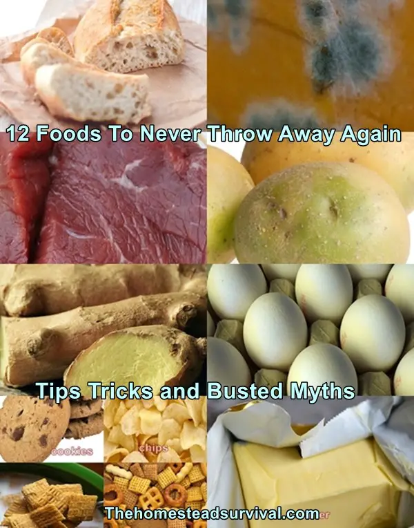 12 foods to never throw away again